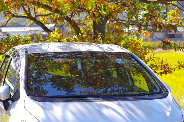 カーフィルムを買うならクレストｗｅｂショップが一押し 様々な種類が揃っています サクッと読めるくるまmagazine