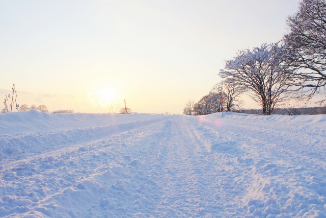 年最新版 冬の雪道もへっちゃらな軽自動車を徹底紹介 サクッと読めるくるまmagazine